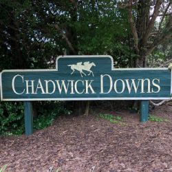 Chadwick Downs
