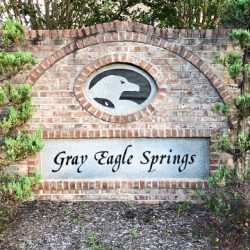 Gray Eagle Springs