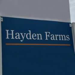 Hayden Farms